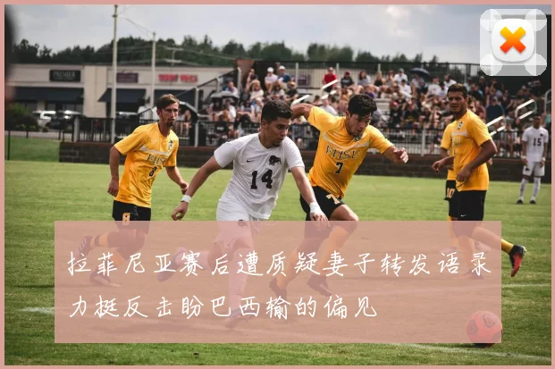 拉菲尼亚赛后遭质疑妻子转发语录力挺反击盼巴西输的偏见