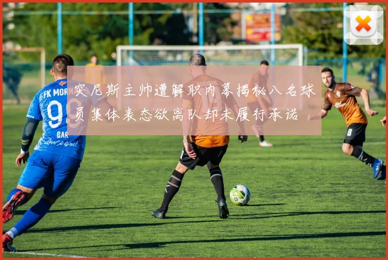 突尼斯主帅遭解职内幕揭秘八名球员集体表态欲离队却未履行承诺