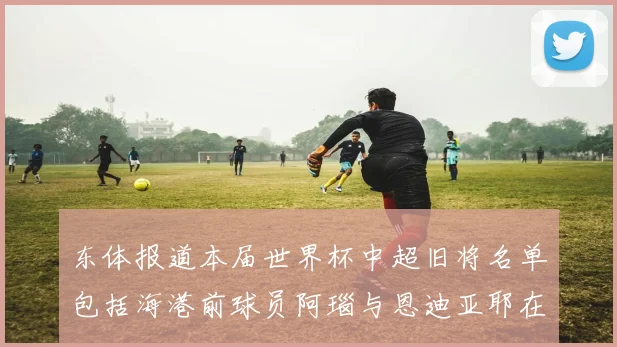 东体报道本届世界杯中超旧将名单包括海港前球员阿瑙与恩迪亚耶在内的10位球员